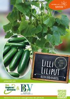 GdJ 2019 "Lilli Liliput" Plakat A2 VE 3 St