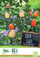 GdJ 2022 "Lila Luzi" Plakat A2 VE 3 St